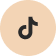 tiktok icon